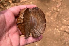 MalawiZambie_0008_web