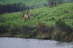 MalawiZambie_0024_web