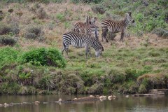 MalawiZambie_0025_web