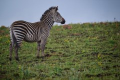 MalawiZambie_0026_web