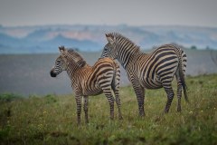 MalawiZambie_0027_web