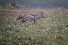 MalawiZambie_0028_web