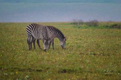 MalawiZambie_0030_web