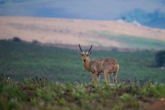 MalawiZambie_0038_web
