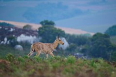 MalawiZambie_0039_web