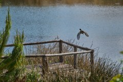 MalawiZambie_0043_web