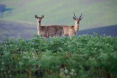 MalawiZambie_0044_web