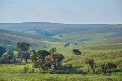 MalawiZambie_0045_web