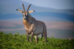 MalawiZambie_0047_web