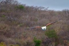 MalawiZambie_0074_web