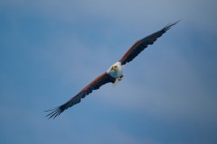 MalawiZambie_0075_web