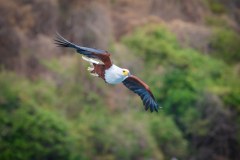 MalawiZambie_0076_web