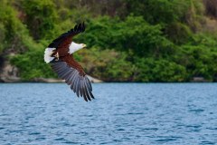 MalawiZambie_0077_web