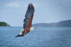 MalawiZambie_0078_web