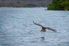 MalawiZambie_0080_web