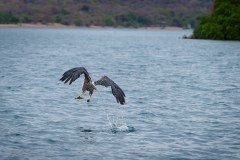 MalawiZambie_0082_web