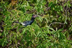 MalawiZambie_0083_web