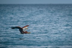 MalawiZambie_0084_web