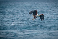MalawiZambie_0085_web
