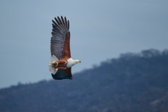 MalawiZambie_0086_web