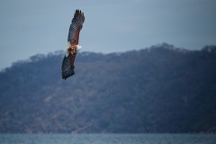 MalawiZambie_0087_web