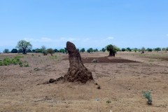 MalawiZambie_0109_web