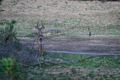 MalawiZambie_0120_web