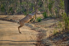 MalawiZambie_0122_web