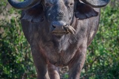 MalawiZambie_0124_web