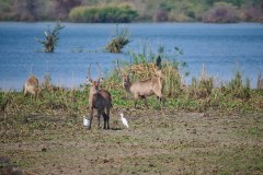 MalawiZambie_0125_web