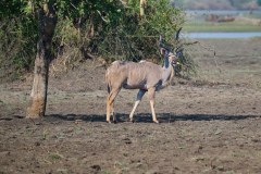 MalawiZambie_0126_web