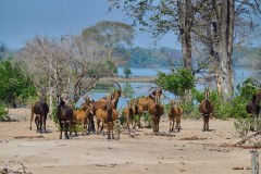 MalawiZambie_0127_web