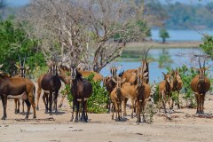MalawiZambie_0128_web