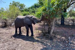 MalawiZambie_0131_web