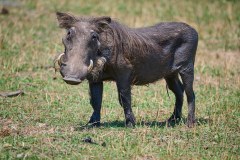 MalawiZambie_0133_web
