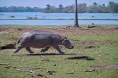MalawiZambie_0134_web