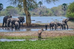 MalawiZambie_0136_web