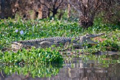 MalawiZambie_0140_web