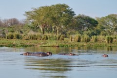 MalawiZambie_0141_web
