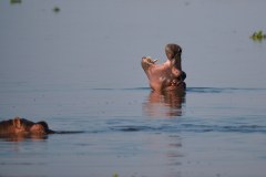 MalawiZambie_0142_web