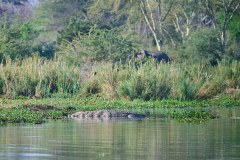 MalawiZambie_0143_web