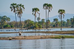MalawiZambie_0145_web