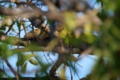 MalawiZambie_0147_web