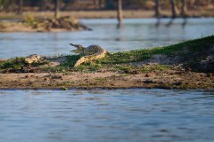 MalawiZambie_0148_web