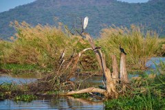 MalawiZambie_0151_web