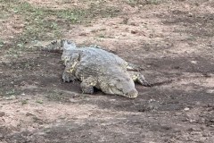 MalawiZambie_0153_web