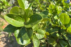 MalawiZambie_0161_web