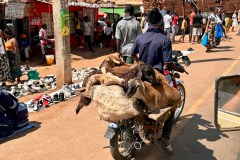 MalawiZambie_0166_web