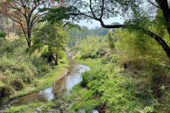 MalawiZambie_0177_web