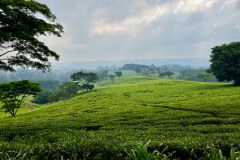 MalawiZambie_0179_web